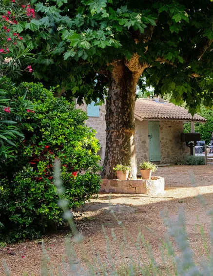 Promo hivernale pour chambres d'hôtes près d'Avignon