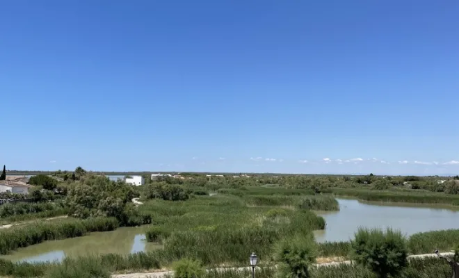 Location d'un grand gîte à Saintes-Maries-de-la-Mer, Beaucaire, Mas Tareau